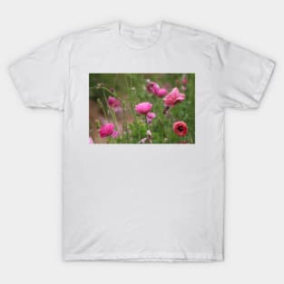 Fuchsia Ranunculus T-Shirt
